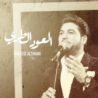 كلمات اغنية العود الطري وليد الشامي مكتوبة كاملة