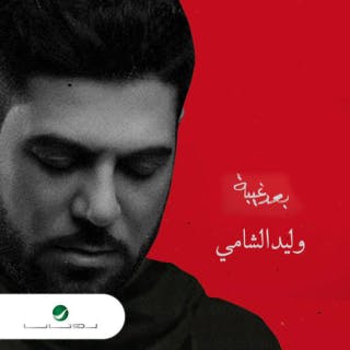 كلمات اغنية بعد غيبة وليد الشامي مكتوبة كاملة