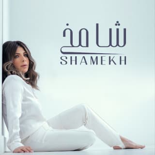 اغنية شامخ اصالة نصري بالكلمات كلمات اغنية شامخ اصالة نصري مكتوبة كاملة