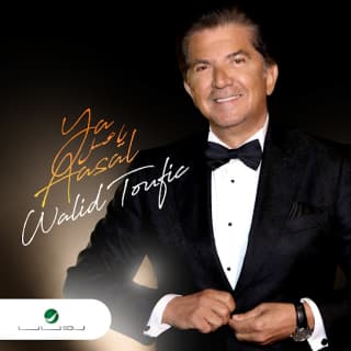 اغنية يا عسل وليد توفيق بالكلمات كلمات اغنية يا عسل وليد توفيق مكتوبة كاملة