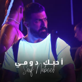 اغنية أحبك دومي سيف نبيل بالكلمات كلمات اغنية أحبك دومي سيف نبيل مكتوبة كاملة