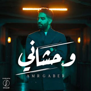 كلمات اغنية وحشاني عمرو جابر جادالله مكتوبة كاملة