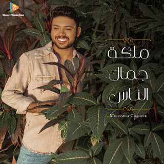 اغنية ملكة جمال الناس محمد شاهين بالكلمات كلمات اغنية ملكة جمال الناس محمد شاهين مكتوبة كاملة