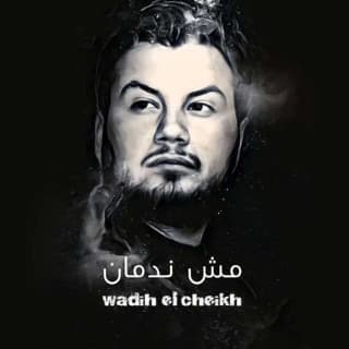 اغنية مش ندمان وديع الشيخ بالكلمات كلمات اغنية مش ندمان وديع الشيخ مكتوبة كاملة