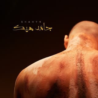 اغنية جامد هيك شاهين بالكلمات كلمات اغنية جامد هيك شاهين مكتوبة كاملة