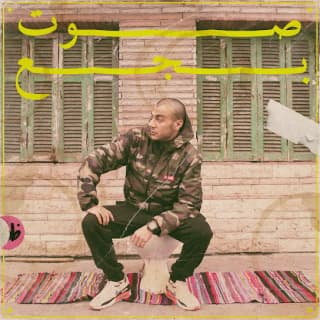 اغنية صوت بجع شاهين بالكلمات كلمات اغنية صوت بجع شاهين مكتوبة كاملة