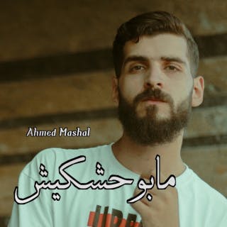 كلمات اغنية مابوحشكيش احمد مشعل مكتوبة كاملة