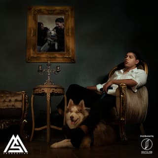 اغنية محتاج لوجودك محمد سعيد بالكلمات كلمات اغنية محتاج لوجودك محمد سعيد مكتوبة كاملة