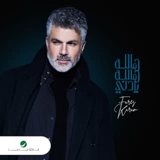 اغنية هالله هالله يا دني فارس كرم بالكلمات كلمات اغنية هالله هالله يا دني فارس كرم مكتوبة كاملة