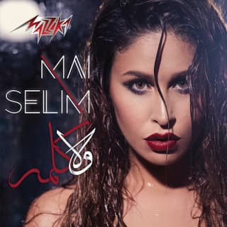 كلمات اغاني البوم ولا كلمه كلمات اغاني البوم ولا كلمه