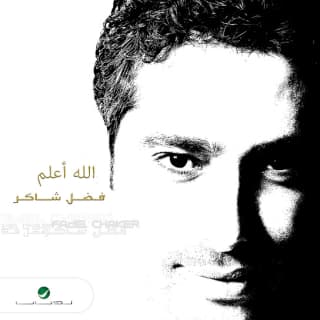 اغنية ودعتك فضل شاكر بالكلمات كلمات اغنية ودعتك فضل شاكر مكتوبة كاملة