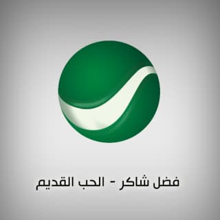 اغنية حبيته فضل شاكر بالكلمات كلمات اغنية حبيته فضل شاكر مكتوبة كاملة