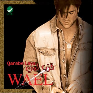 اغنية قلبي مشتاق وائل كفوري بالكلمات كلمات اغنية قلبي مشتاق وائل كفوري مكتوبة كاملة