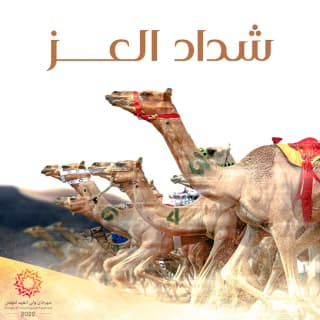 اغنية شداد العز أحلام بالكلمات كلمات اغنية شداد العز أحلام مكتوبة كاملة