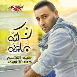 اغنية زي النهاردة مجد القاسم بالكلمات كلمات اغنية زي النهاردة مجد القاسم مكتوبة كاملة