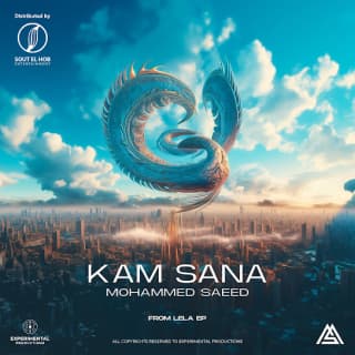 اغنية كام سنة محمد سعيد بالكلمات كلمات اغنية كام سنة محمد سعيد مكتوبة كاملة