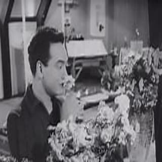 اغنية الزهور محمد فوزي بالكلمات كلمات اغنية الزهور محمد فوزي مكتوبة كاملة