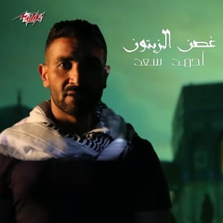 اغنية غصن الزيتون احمد سعد بالكلمات كلمات اغنية غصن الزيتون احمد سعد مكتوبة كاملة