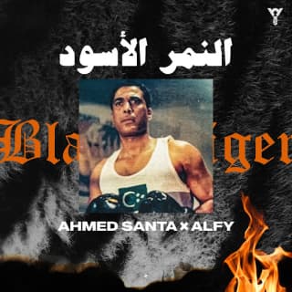 اغنية النمر الأسود أحمد سانتا بالكلمات كلمات اغنية النمر الأسود أحمد سانتا مكتوبة كاملة