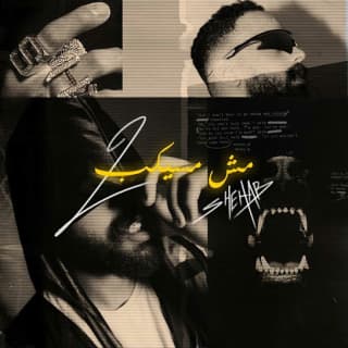 اغنية مش مسيكب 2 شهاب بالكلمات كلمات اغنية مش مسيكب 2 شهاب مكتوبة كاملة