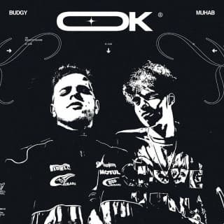 اغنية اوكي مهاب بالكلمات كلمات اغنية اوكي مهاب مكتوبة كاملة