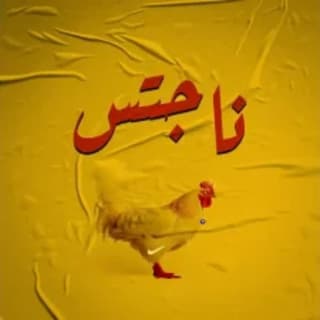 اغنية ناجتس عبعظ بالكلمات كلمات اغنية ناجتس عبعظ مكتوبة كاملة