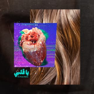 اغنية يا قلبي emsallam بالكلمات كلمات اغنية يا قلبي emsallam مكتوبة كاملة