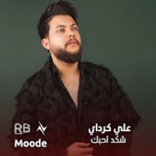 اغنية شكد احبك علي كرداي بالكلمات كلمات اغنية شكد احبك علي كرداي مكتوبة كاملة