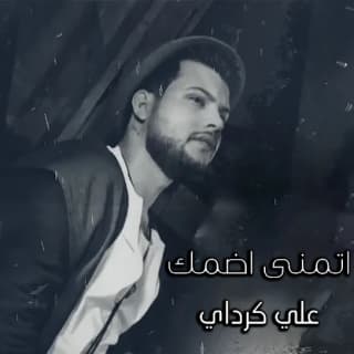 اغنية اتمنى اضمك علي كرداي بالكلمات كلمات اغنية اتمنى اضمك علي كرداي مكتوبة كاملة