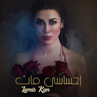 اغنية احساسي مات لميس كان بالكلمات كلمات اغنية احساسي مات لميس كان مكتوبة كاملة