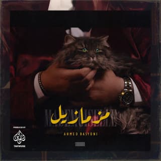 اغنية مزمازيل أحمد بسيوني بالكلمات كلمات اغنية مزمازيل أحمد بسيوني مكتوبة كاملة