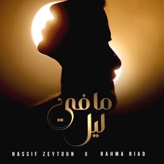 اغنية ما في ليل نصيف زيتون بالكلمات كلمات اغنية ما في ليل نصيف زيتون مكتوبة كاملة