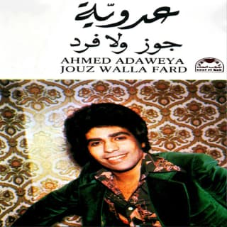 اغنية جوز ولا فرد أحمد عدوية بالكلمات كلمات اغنية جوز ولا فرد أحمد عدوية مكتوبة كاملة