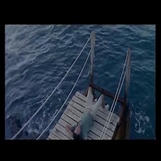 اغنية شو مبكيكي وائل كفوري بالكلمات كلمات اغنية شو مبكيكي وائل كفوري مكتوبة كاملة