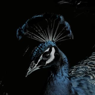 اغنية النية lege-cy بالكلمات كلمات اغنية النية lege-cy مكتوبة كاملة