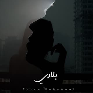 اغنية بلادي طارق حبول بالكلمات كلمات اغنية بلادي طارق حبول مكتوبة كاملة