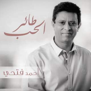 اغنية طائر الحب أحمد فتحي بالكلمات كلمات اغنية طائر الحب أحمد فتحي مكتوبة كاملة