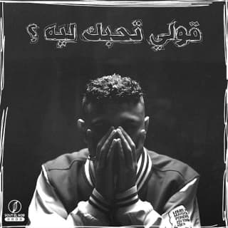 اغنية قولي تحبك ليه ؟ يوسف العشري بالكلمات كلمات اغنية قولي تحبك ليه ؟ يوسف العشري مكتوبة كاملة