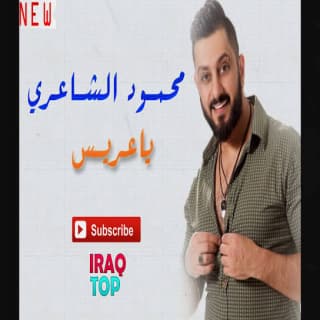 اغنية يا عريس محمود الشاعري بالكلمات كلمات اغنية يا عريس محمود الشاعري مكتوبة كاملة
