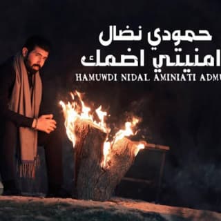 اغنية امنيتي اضمك حمودي نضال بالكلمات كلمات اغنية امنيتي اضمك حمودي نضال مكتوبة كاملة