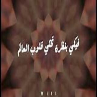 اغنية مصرف أحلام زاف بالكلمات كلمات اغنية مصرف أحلام زاف مكتوبة كاملة
