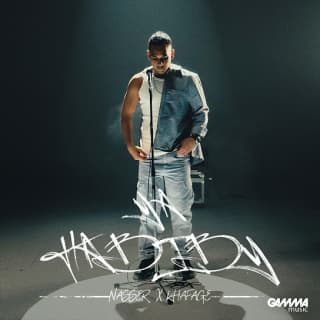 اغنية يا حبيبي ناصر بالكلمات كلمات اغنية يا حبيبي ناصر مكتوبة كاملة