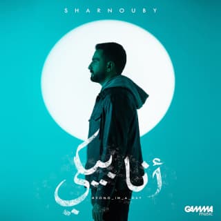 اغنية أنا بيكي محمد الشرنوبي بالكلمات كلمات اغنية أنا بيكي محمد الشرنوبي مكتوبة كاملة