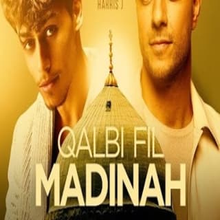 اغنية قلبي في المدينة ماهر زين بالكلمات كلمات اغنية قلبي في المدينة ماهر زين مكتوبة كاملة