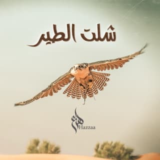 اغنية شلت الطير هزاع الرئيسي بالكلمات كلمات اغنية شلت الطير هزاع الرئيسي مكتوبة كاملة