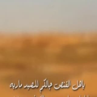 اغنية اهل القنص فهاد العلي بالكلمات كلمات اغنية اهل القنص فهاد العلي مكتوبة كاملة