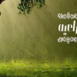 اغنية راعيه خالد حامد بالكلمات كلمات اغنية راعيه خالد حامد مكتوبة كاملة