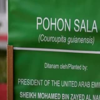 اغنية شيخ المحبه محمد الماسي بالكلمات كلمات اغنية شيخ المحبه محمد الماسي مكتوبة كاملة