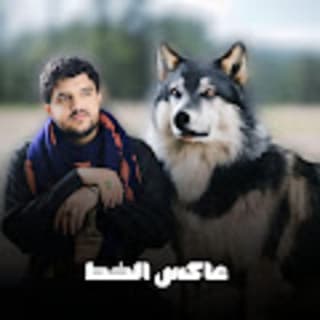 اغنية عاكس الخط ابو حمزه الحنفاشي بالكلمات كلمات اغنية عاكس الخط ابو حمزه الحنفاشي مكتوبة كاملة