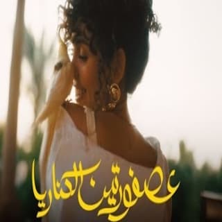 اغنية عصفورتين الكناريا سارة هيثم بالكلمات كلمات اغنية عصفورتين الكناريا سارة هيثم مكتوبة كاملة